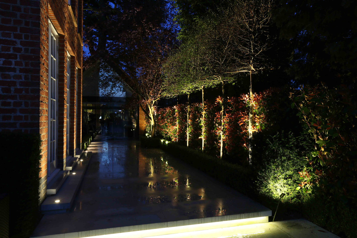 Kew 25 Spike Category