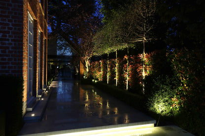 Kew 25 Spike Category